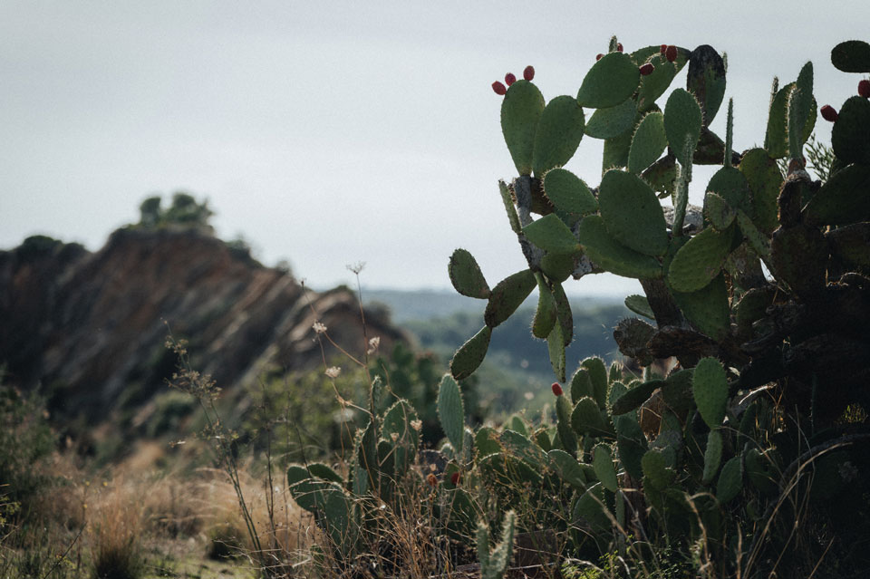 Pedal-Greece-2---ColorblindStudios-7034